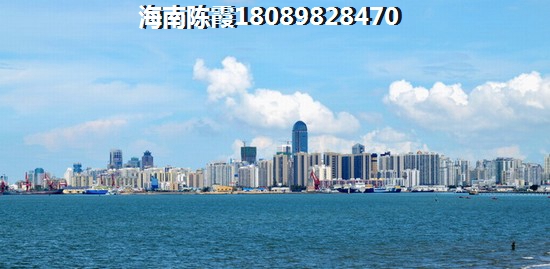 海南买房哪些地方会生纸？